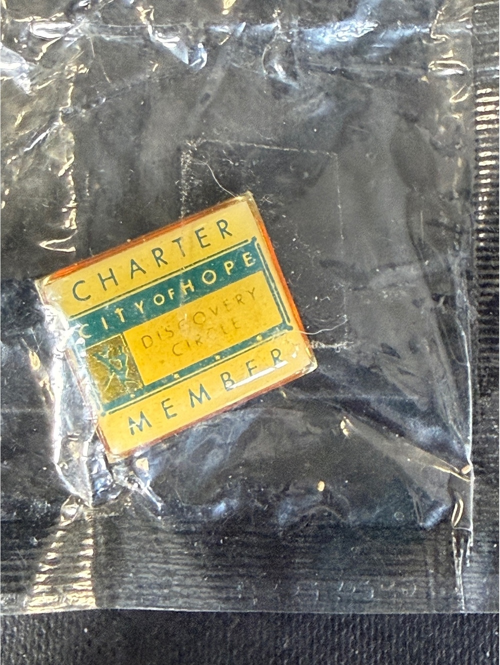 City of Hope Charter Member Discovery Circle Enamel Pin